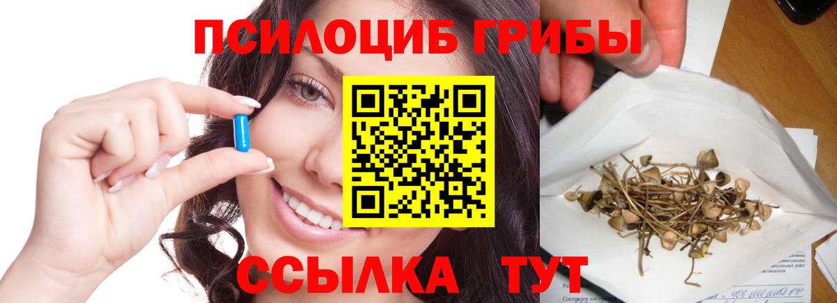 Псилоцибиновые грибы прущие грибы Лабинск